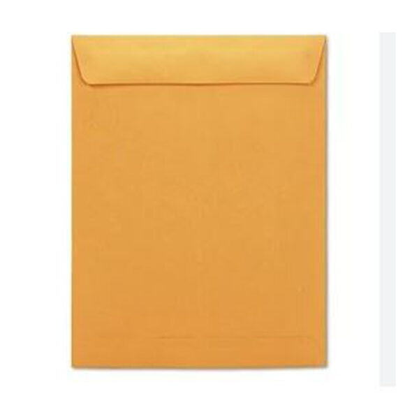 Ampad Gold Fibre Release & Seal Catalog Envelope, 10 x 13